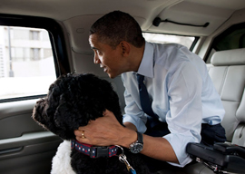 President Obama and Bo