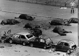 Hyde Park IRA Bombing